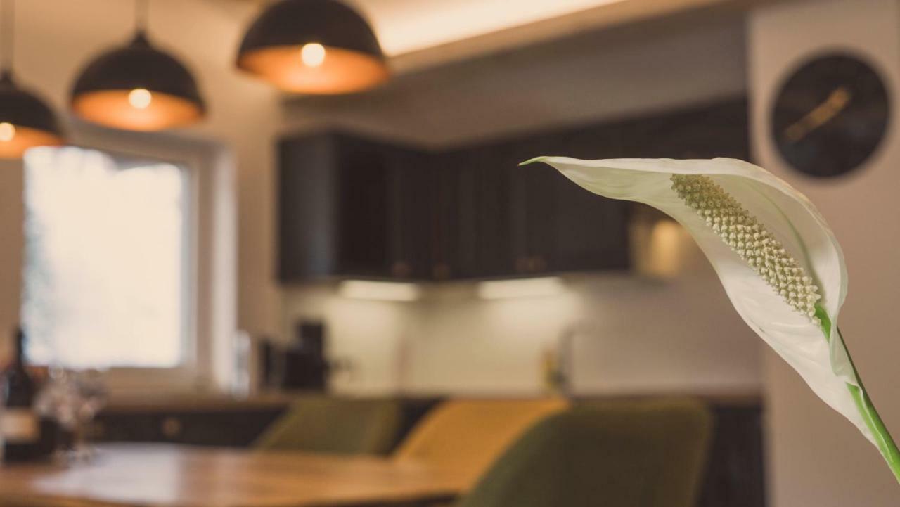 Apartment Ninetyfour อันนาแบร์ อิม ลัมเมอร์ทาล ภายนอก รูปภาพ